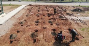 Derince'de yeşil alanlar yaza hazırlanıyor