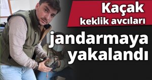 Kaçak keklik avcıları jandarmaya yakalandı