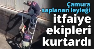 Çamura saplanan leyleği itfaiye ekipleri kurtardı