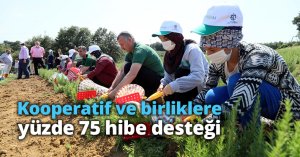 Kooperatif ve birliklere yüzde 75 hibe desteği