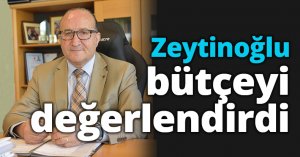 Zeytinoğlu bütçeyi değerlendirdi