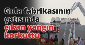 Gıda fabrikasının çatısında çıkan yangın korkuttu