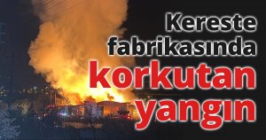 Kereste fabrikasında korkutan yangın