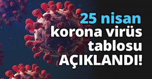 25 nisan korona virüs tablosu AÇIKLANDI!