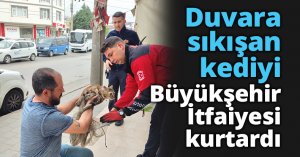 Duvara sıkışan kediyi Büyükşehir İtfaiyesi kurtardı
