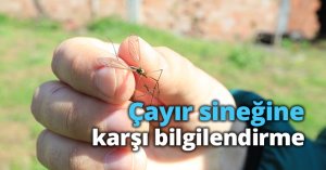 Çayır sineğine karşı bilgilendirme