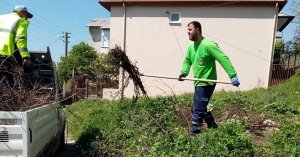 Toplanan dal ve otlar geri dönüştürülüyor