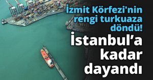 İzmit Körfezi'nin rengi turkuaza döndü!