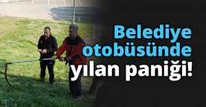 Belediye otobüsünde yılan paniği
