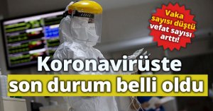 Koronavirüste son durum belli oldu: Vaka sayısı düştü,vefat sayısı arttı