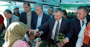 Vatandaşa 82 bin fide dağıtıldı