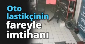 Oto lastikçinin fareyle imtihanı