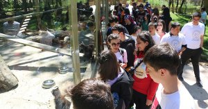 Körfezli özel çocuklar Ormanya’yı gezdi