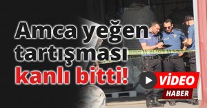 Amca yeğen tartışması kanlı bitti