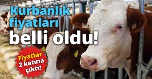 Kurbanlık fiyatları belli oldu!  Fiyatlar 2 katına çıktı