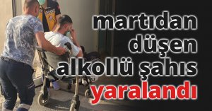 Sahilde martıdan düşen alkollü şahıs yaralandı