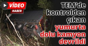 TEM’de kontrolden çıkan yumurta dolu kamyon devrildi