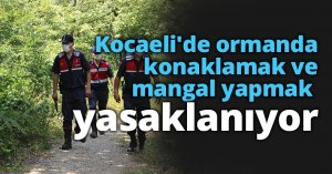 Kocaeli'de ormanda konaklamak ve mangal yapmak yasaklanıyor