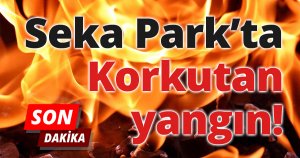 Seka Devlet Hastanesi arkasında korkutan yangın