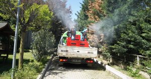 Robotik kodlama kollu araçla vektörle mücadele