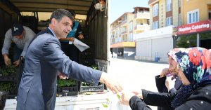 KARTEPE’DE 123 BİN FİDE TOPRAKLA BULUŞTU