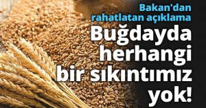 Bakan'dan rahatlatan açıklama: Buğdayda herhangi bir sıkıntımız yok