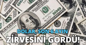DOLAR, SON 6 AYIN ZİRVESİNİ GÖRDÜ