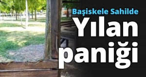 Başiskele sahilde yılan paniğe neden oldu!
