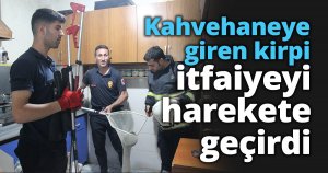 Kahvehaneye giren kirpi itfaiyeyi harekete geçirdi