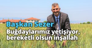 Başkan Sezer: “Buğdaylarımız yetişiyor, bereketli olsun inşallah”