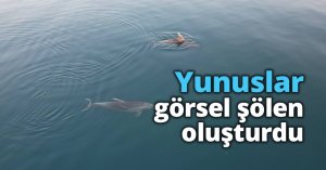 Yunuslar görsel şölen oluşturdu