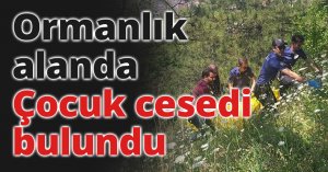 Kocaeli'de ormanlık alanda çocuk cesedi bulundu