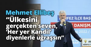 Ellibeş: “Ülkesini gerçekten seven,  ‘Her yer Kandil’ diyenlerle uğraşsın”