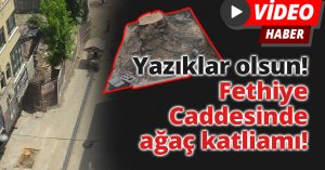 Yazıklar olsun! Fethiye Caddesinde ağaç katliamı!