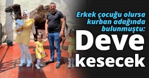 Erkek çocuğu olursa kurban adağında bulunmuştu: Deve kesecek