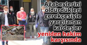 Ağabeylerini öldürdükleri gerekçesiyle yargılanan kardeşler yeniden hakim karşısında