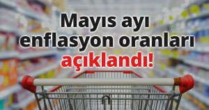 Mayıs ayı enflasyon oranları açıklandı!