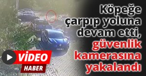 Köpeğe çarpıp yoluna devam etti, güvenlik kamerasına yakalandı