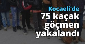 Kocaeli'de 75 kaçak göçmen yakalandı