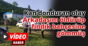 Kan donduran olay: Arkadaşını öldürüp, fındık bahçesine gömmüş