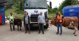 TÜM HAYVANLARINI KAYBEDEN AFYONLU BESİCİYE GÖLCÜK'TEN YARDIM ELİ