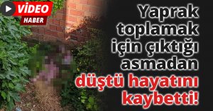 Yaprak toplamak için çıktığı asmadan düşerek hayatını kaybetti