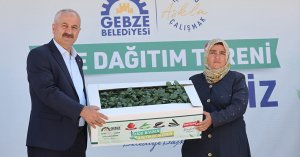 Gebzeli çiftçilere fide desteği