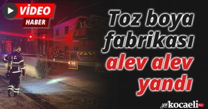 Toz boya fabrikası alev alev yandı
