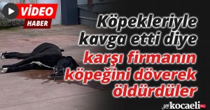 Köpekleriyle kavga etti diye karşı firmanın köpeğini döverek öldürdüler