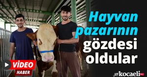 Hayvan pazarının gözdesi oldular