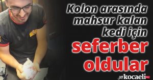 Kolon arasında mahsur kalan kedi için seferber oldular