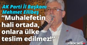 Ellibeş, “Muhalefetin hali ortada, onlara ülke teslim edilmez!”