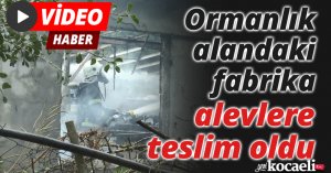 Ormanlık alandaki fabrika alevlere teslim oldu