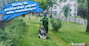 Körfez’de parklardaki yabani otlar temizleniyor